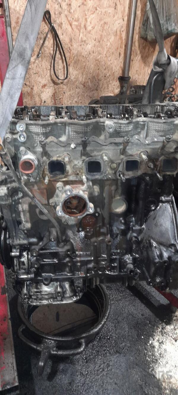 Двигатель Nissan Primera 2.2dCi (P12) 2002-2007 YD22DDTi BF-731 - 4