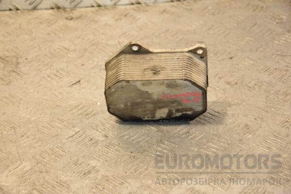 Теплообмінник (Радіатор масляний) Peugeot Boxer 2.2hdi 2006-2014 6790875821 430631 euromotors.com.ua