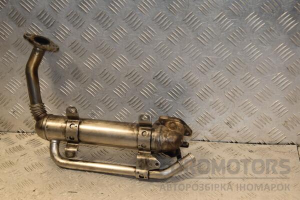 Охладитель ОГ (Радиатор EGR) VW Passat 2.0tdi (B6) 2005-2010 03G131512AD 442847 - 2
