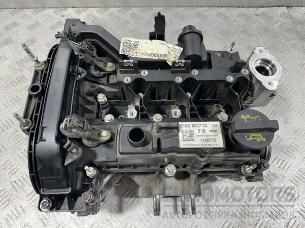 Головка блоку в зборі Ford EcoSport 1.0 EcoBoost 2013-2017 C1BG6007LC BF-788 - 6