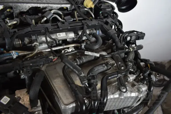 Уживані двигун VW Passat 2.0 TDI (B8) 2015 DFG it-17849 Дизель - 21